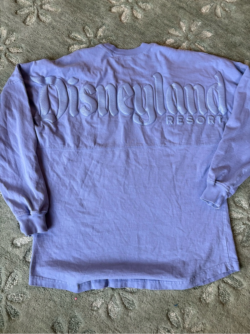 Disneyland Spirit Jersey